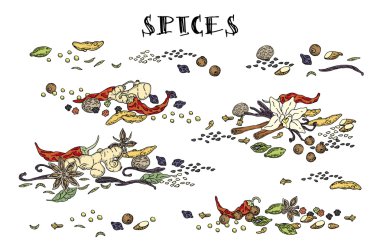 Baharat simgeler kümesi. Elle çizilmiş baharat ve otlar
