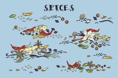Baharat simgeler kümesi. Elle çizilmiş baharat ve otlar