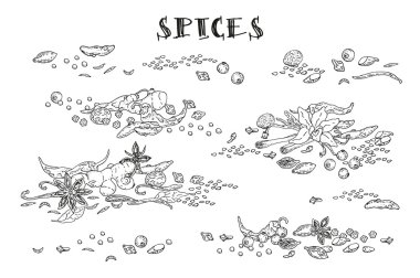 Baharat simgeler kümesi. Elle çizilmiş baharat ve otlar