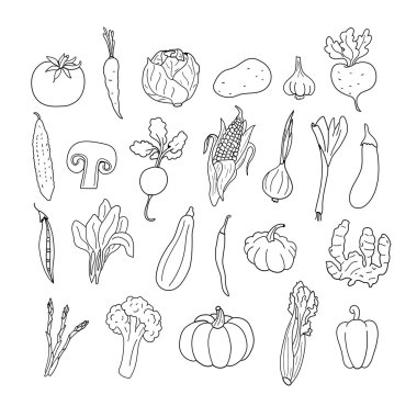 Elle çizilmiş sebze kümesi