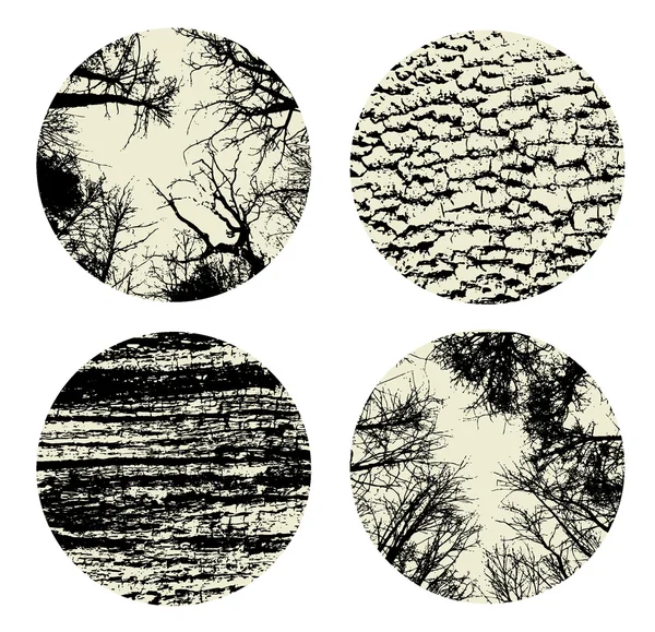Conjunto de cuatro texturas de la naturaleza . — Archivo Imágenes Vectoriales