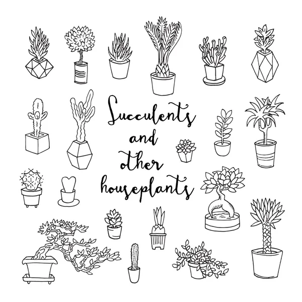 Succulents ve diğer houseplants — Stok Vektör