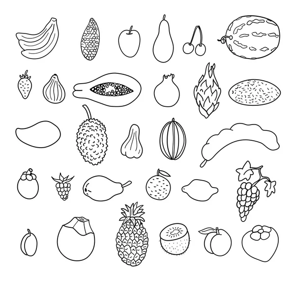 Frutas tropicales. Colección dibujada a mano — Vector de stock