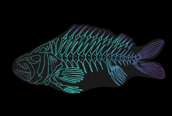 Ikan kartun tetra X-ray . - Stok Vektor