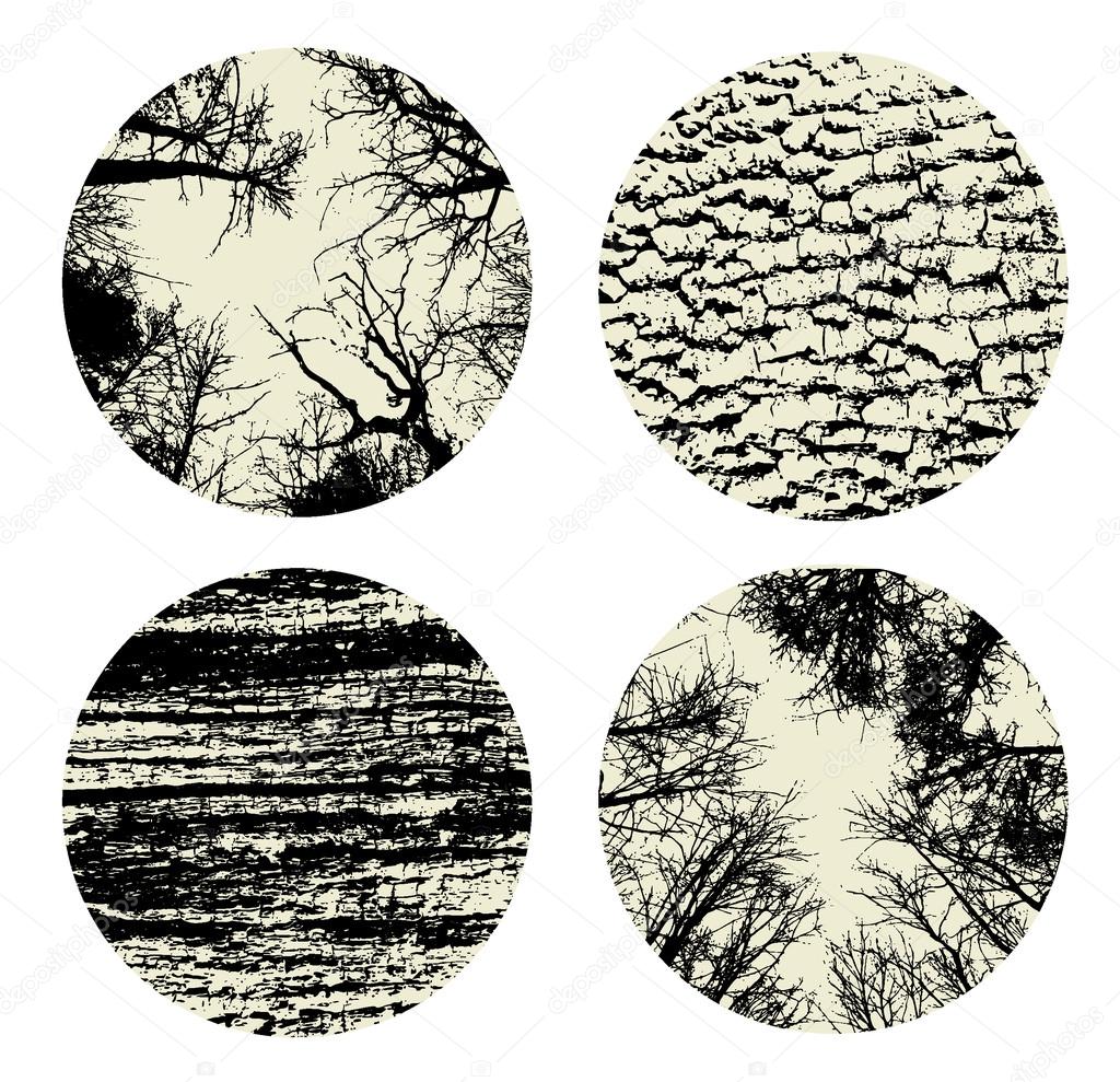 Set of four textures of nature.