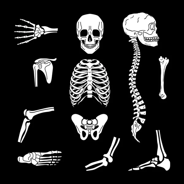 Símbolos ortopédicos e da coluna vertebral —  Vetores de Stock