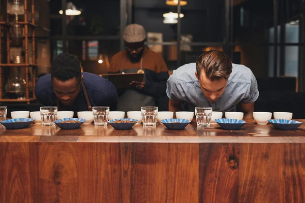 Baristas sentant différents arômes de café — Photo