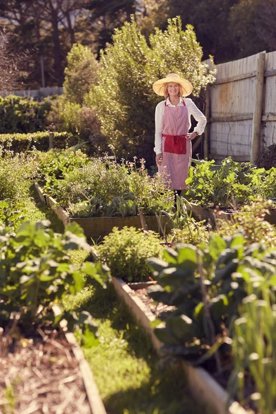 Woman standing in urban food garden — Stock Photo, Image