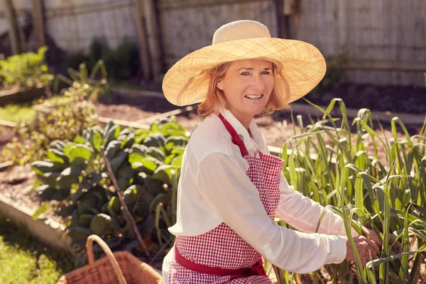 Woman checking plants in vegetable garden — Stockfoto