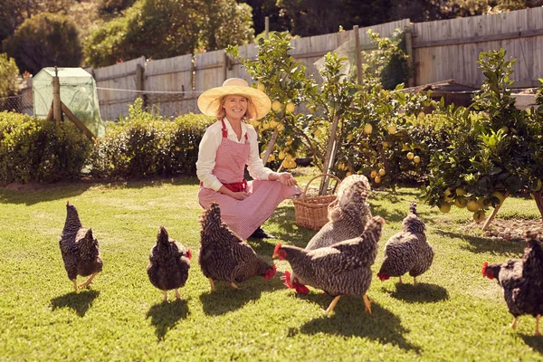 Tavuk ile arka bahçesinde kıdemli kadın — Stok fotoğraf