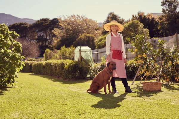 Donna in cortile con cane fedele — Foto Stock