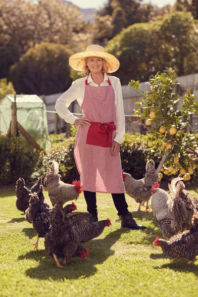 Senior vrouw in achtertuin met kippen — Stockfoto