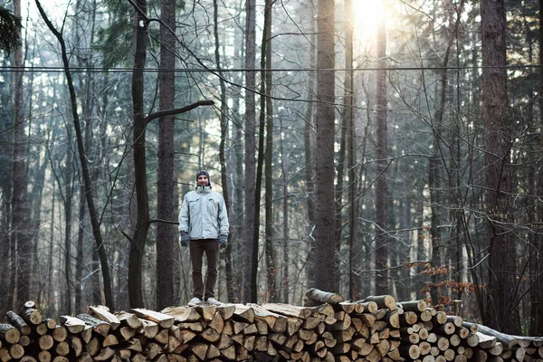 Άτομο που στέκεται σωρού των καυσόξυλων στο δάσος — Φωτογραφία Αρχείου
