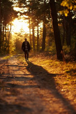 Woodland yürüyen adam