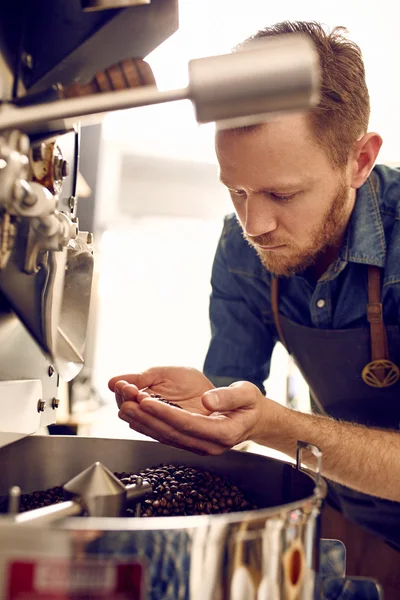 Coffee roaster checking for quality of beans — Stock Photo, Image