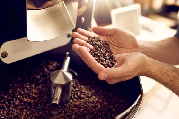 Mãos segurando os grãos de café torrados — Fotografia de Stock