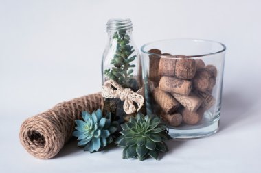 Succulents and twine, decor clipart