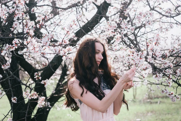Красива брюнетка в парку, що стоїть біля розквітлого дерева — стокове фото