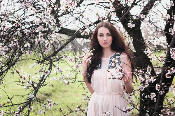 Hermosa mujer morena en el parque de pie cerca del árbol de flores —  Fotos de Stock