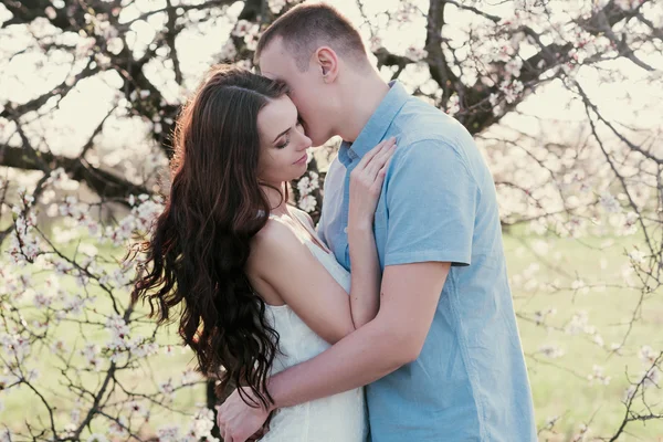Sensuale ritratto all'aperto di giovane elegante coppia di moda in posa in primavera vicino albero di fiori — Foto Stock