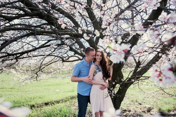 Retrato ao ar livre sensual de jovem casal de moda elegante posando na primavera perto da árvore da flor — Fotografia de Stock