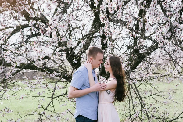 Retrato ao ar livre sensual de jovem casal de moda elegante posando na primavera perto da árvore da flor — Fotografia de Stock