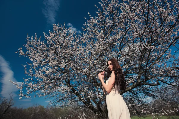 Žena v kvetoucí stromy — Stock fotografie