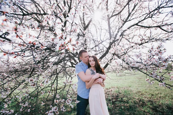 Sensual al aire libre retrato de joven elegante pareja de moda posando en primavera cerca de árbol de flores —  Fotos de Stock