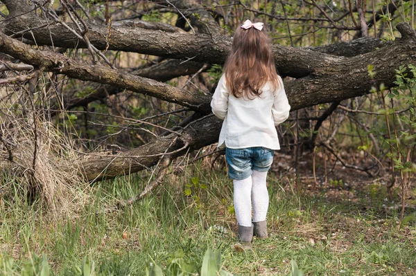 Little cute girl playing in the lush garden — Stock Photo, Image