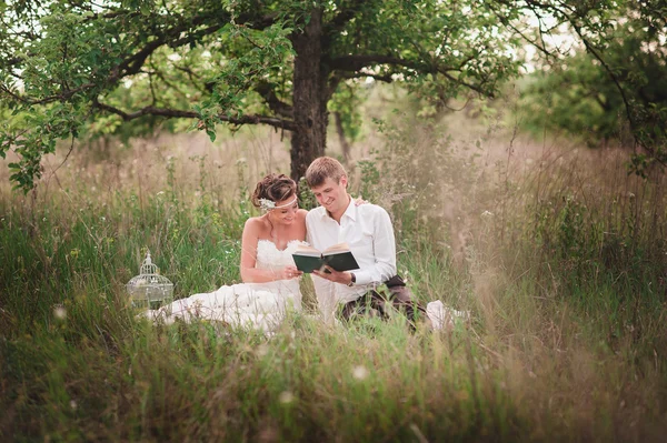 Gli sposi stanno riposando sulla natura e leggendo libri — Foto Stock