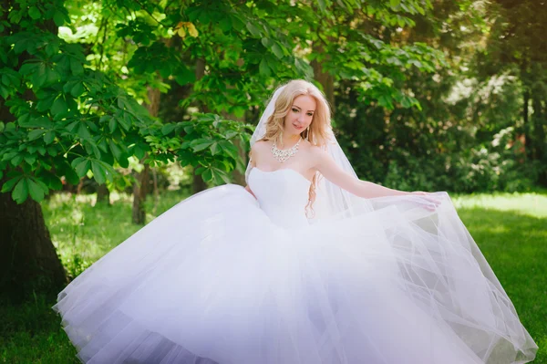 Portrait d'une jeune mariée magnifique — Photo