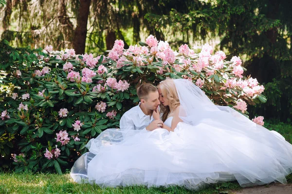 新娘和新郎在郁郁葱葱的花园 — 图库照片