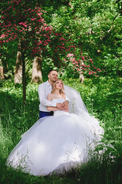 Gelin ve damat yemyeşil bir Bahçe — Stok fotoğraf