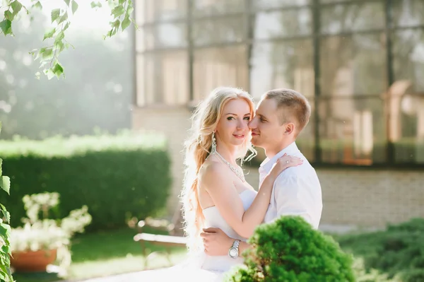 Sensuele omhelzing bruid en bruidegom in het licht van de zonsondergang — Stockfoto