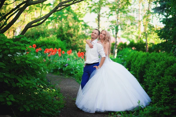 A noiva e o noivo em um exuberante jardim — Fotografia de Stock