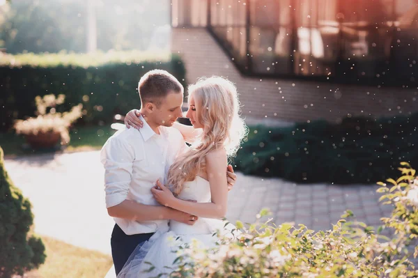 Sensuell omfamning bruden och brudgummen med tanke på sunset — Stockfoto