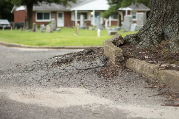 Kökleri mezarlığı