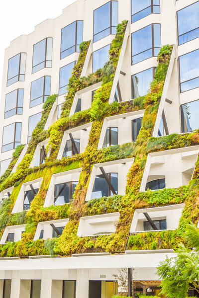 МАК привезет в Западный Голливуд родные калифорнийские растения
