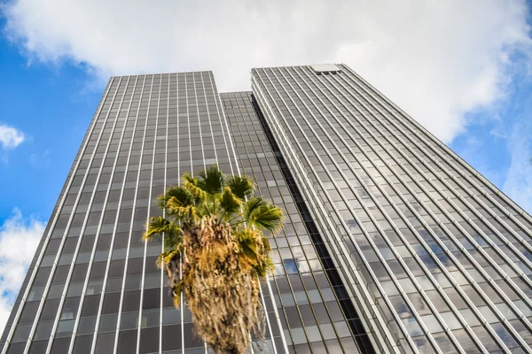 Downtown los angeles torens en appartementen op een heldere winterdag. — Stockfoto