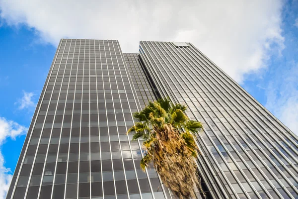 Downtown Los Angeles towers and apartments on a clear winter day. — Stock Photo, Image
