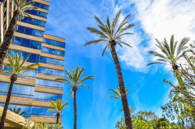 Dış görünümler stüdyo Warner Bros Los Angeles '. Stüdyo tur Hollywood. New York Film Akademisi. avuç içi Guckenheimer Enterprises Inc. Tnt Tbs