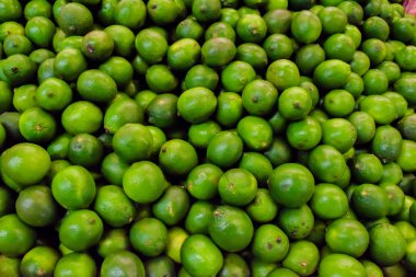 taze limes arka plan