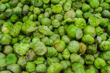 Organik domates arka plan 