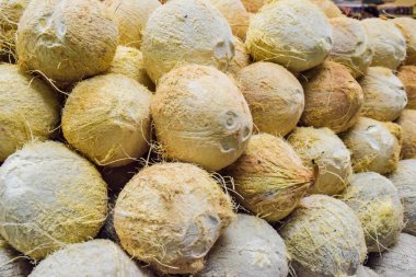 Hindistancevizi arka plan yığını