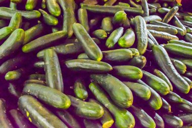 taze salatalık arka plan