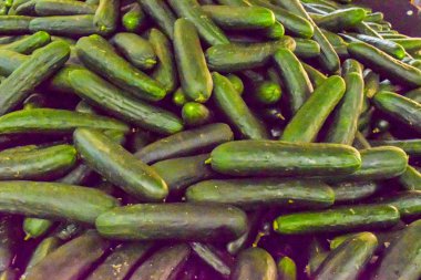 taze salatalık arka plan