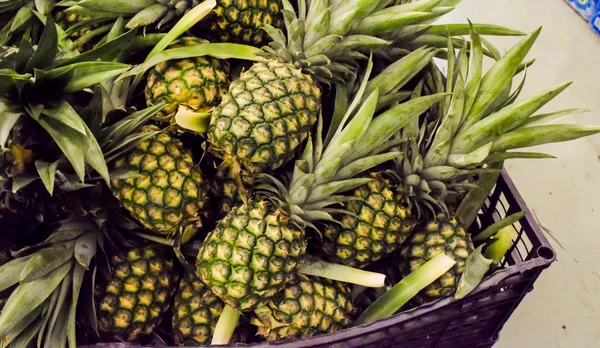 Pineapple fruit background — Stock Photo, Image