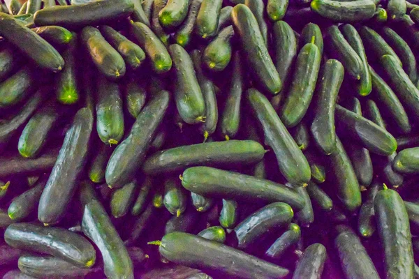 taze salatalık arka plan