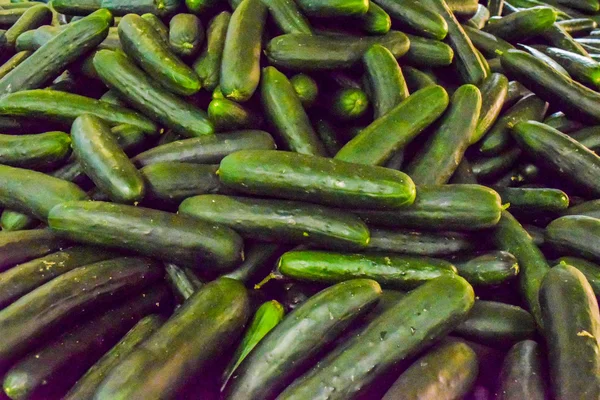 taze salatalık arka plan