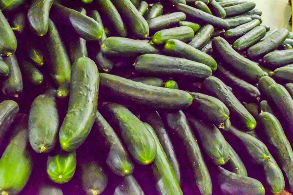 Fresh cucumber background — Stock Photo, Image